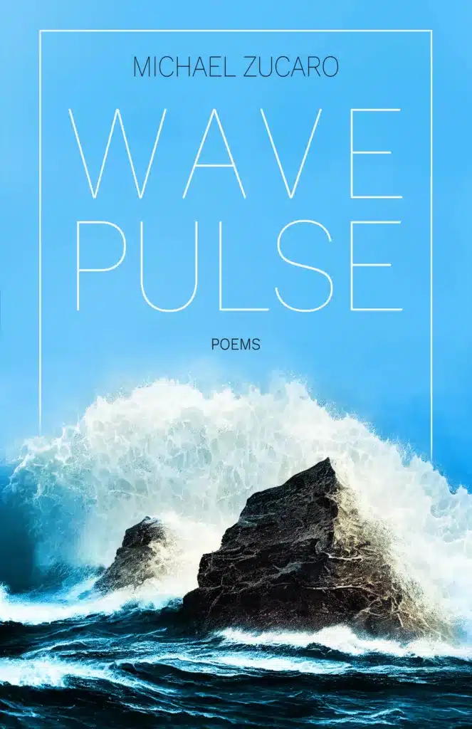 Atmosphere Press Cover - Wave Pulse