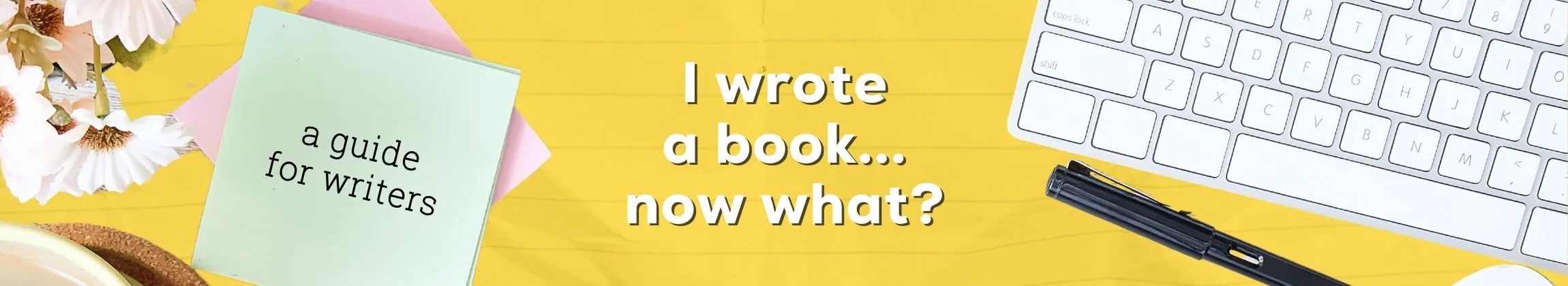 I Wrote a Book, Now What