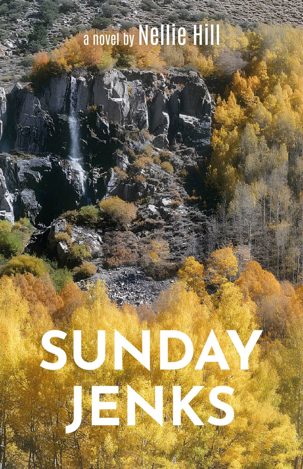 Fiction | Atmosphere Press