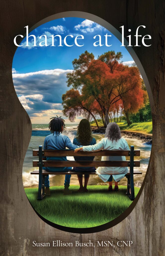 Chance at Life, by Susan Ellison Busch