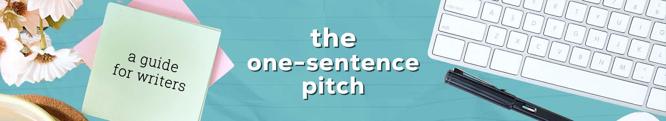 The One Sentence book Pitch