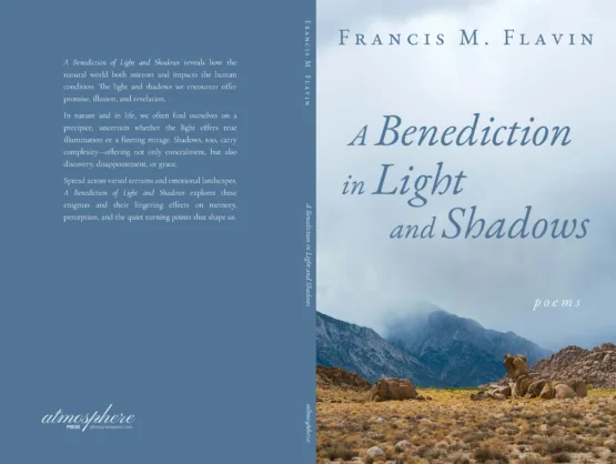 Flavin 2 Cover Project full jpg