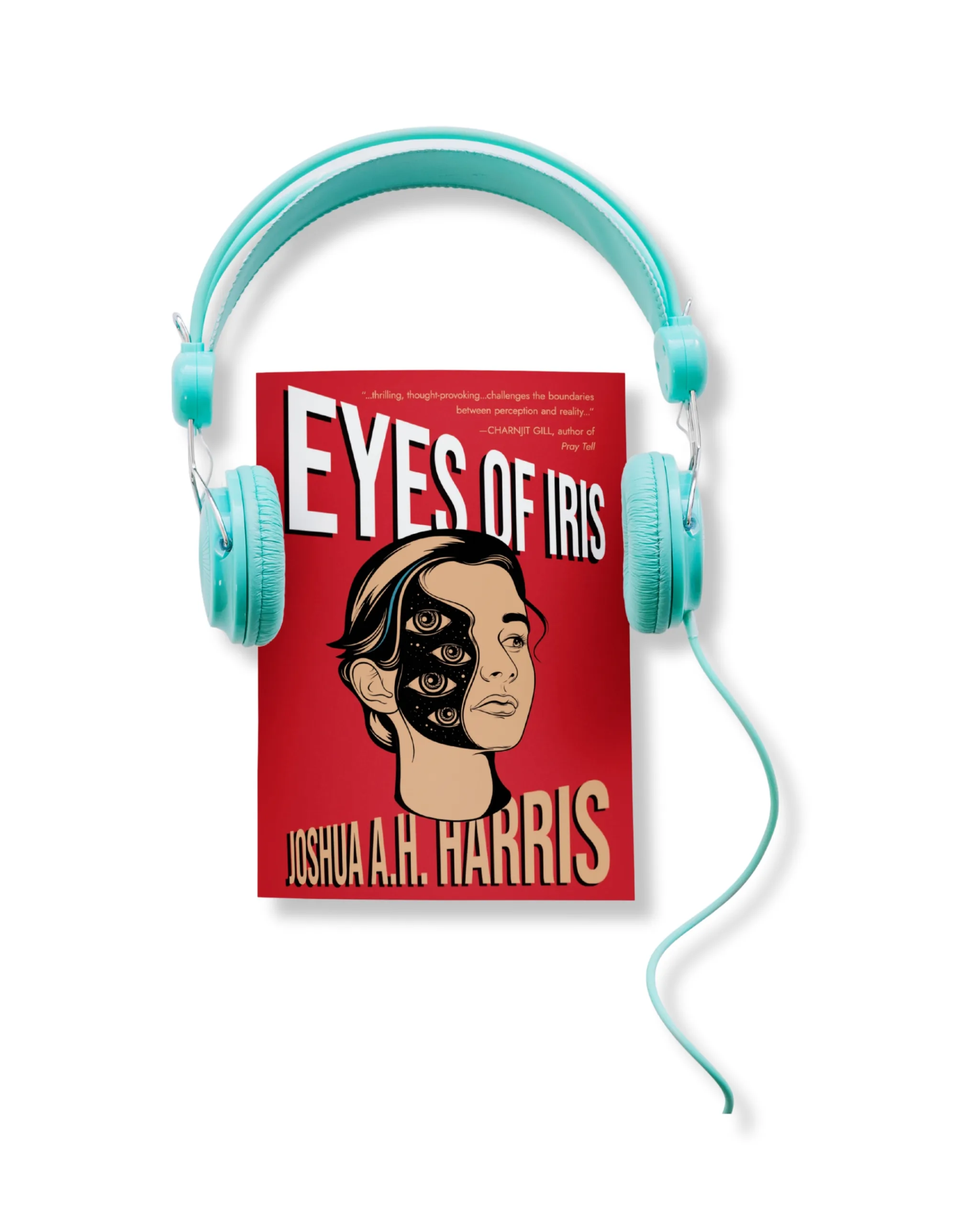 audiobook book example image