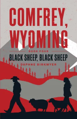 Birmyer 4 Cover Project front jpg