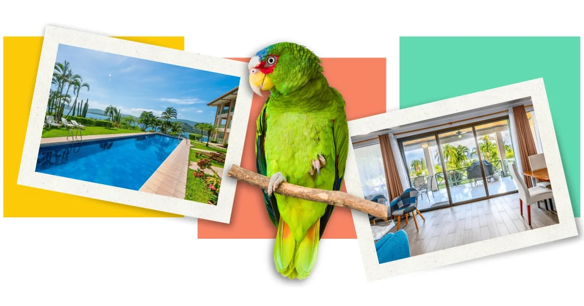 Mobile Playa Flamingo hero image