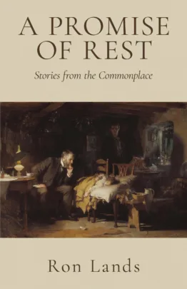 Lands Cover Project front jpg