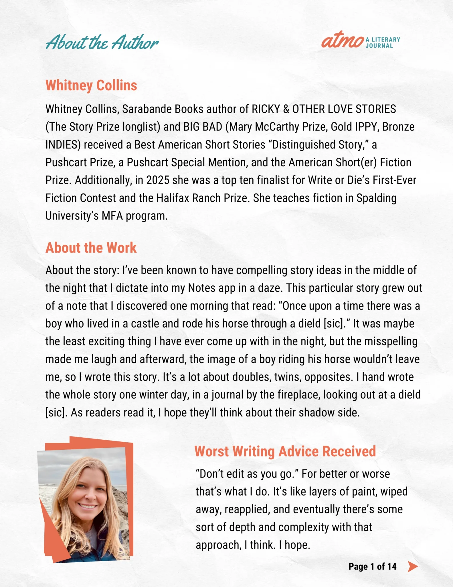 TWO HORSES, ONE GOOD story by Whitney Collins