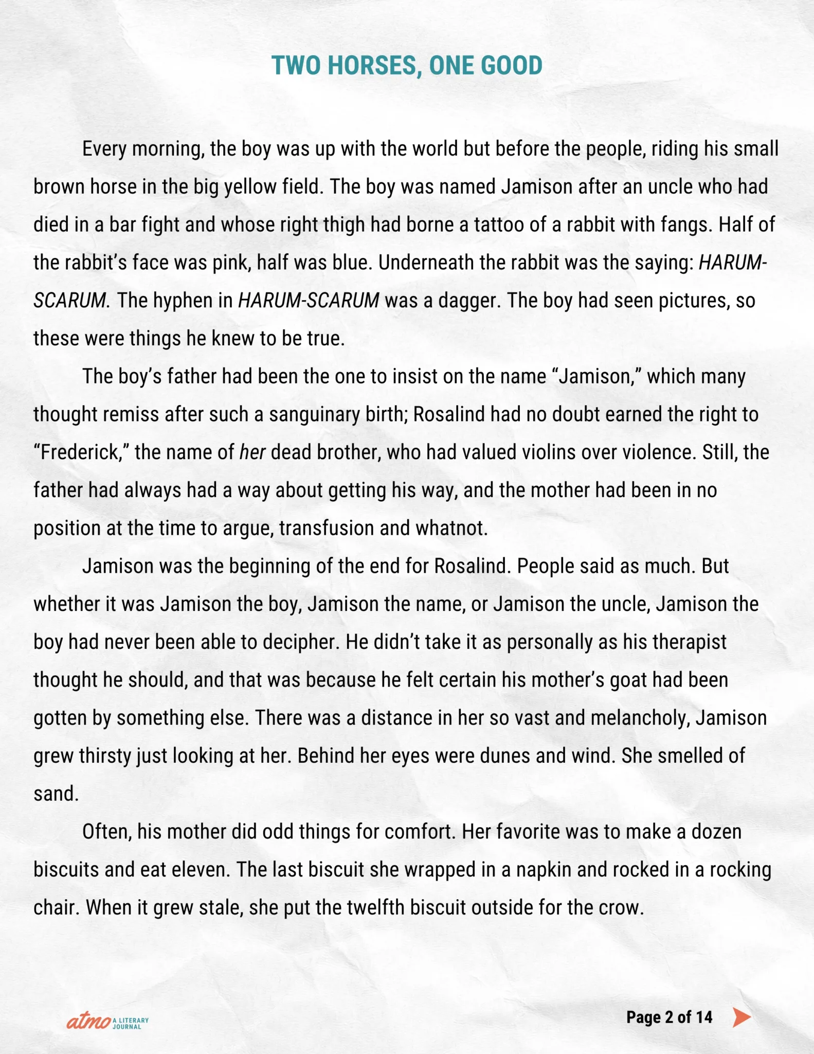 TWO HORSES, ONE GOOD story by Whitney Collins