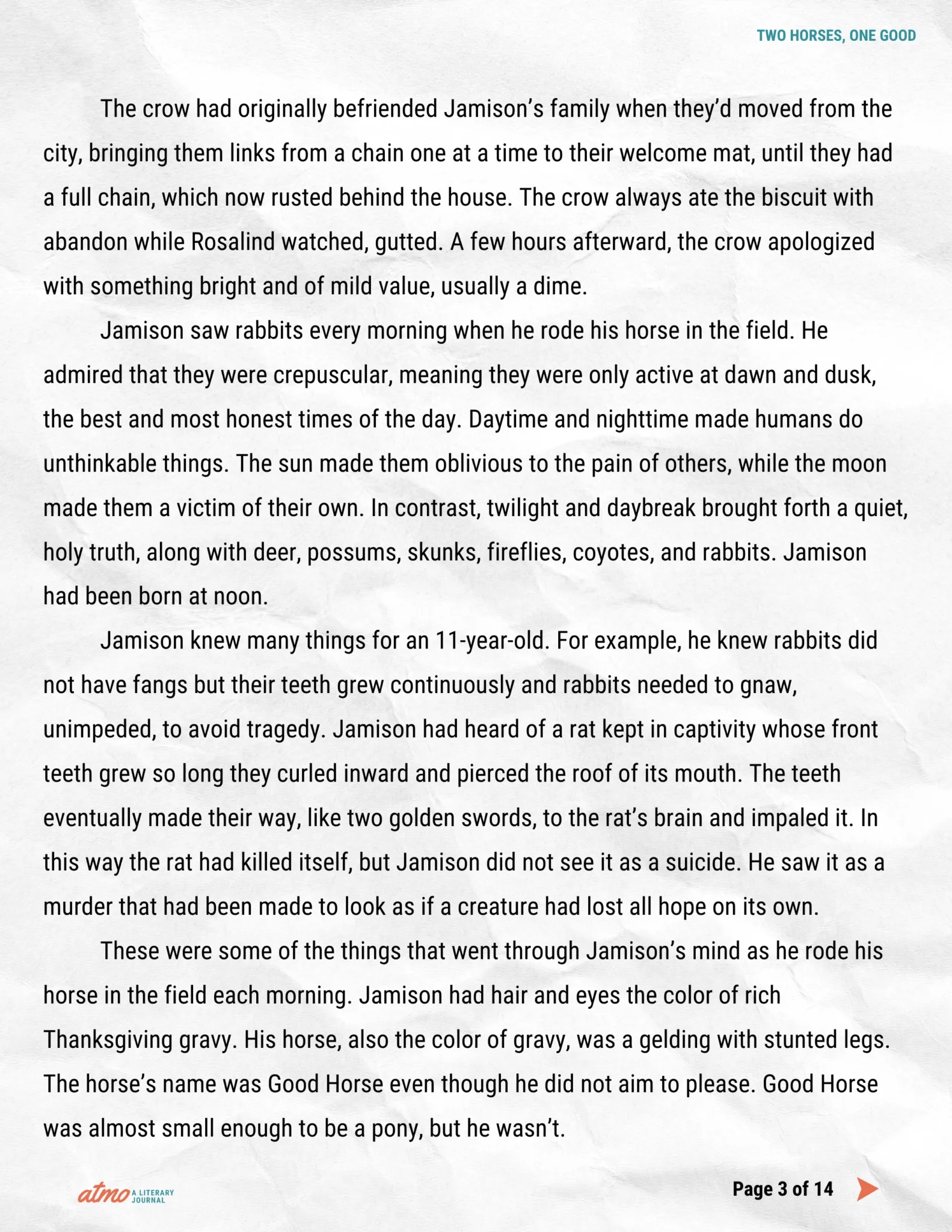 TWO HORSES, ONE GOOD story by Whitney Collins