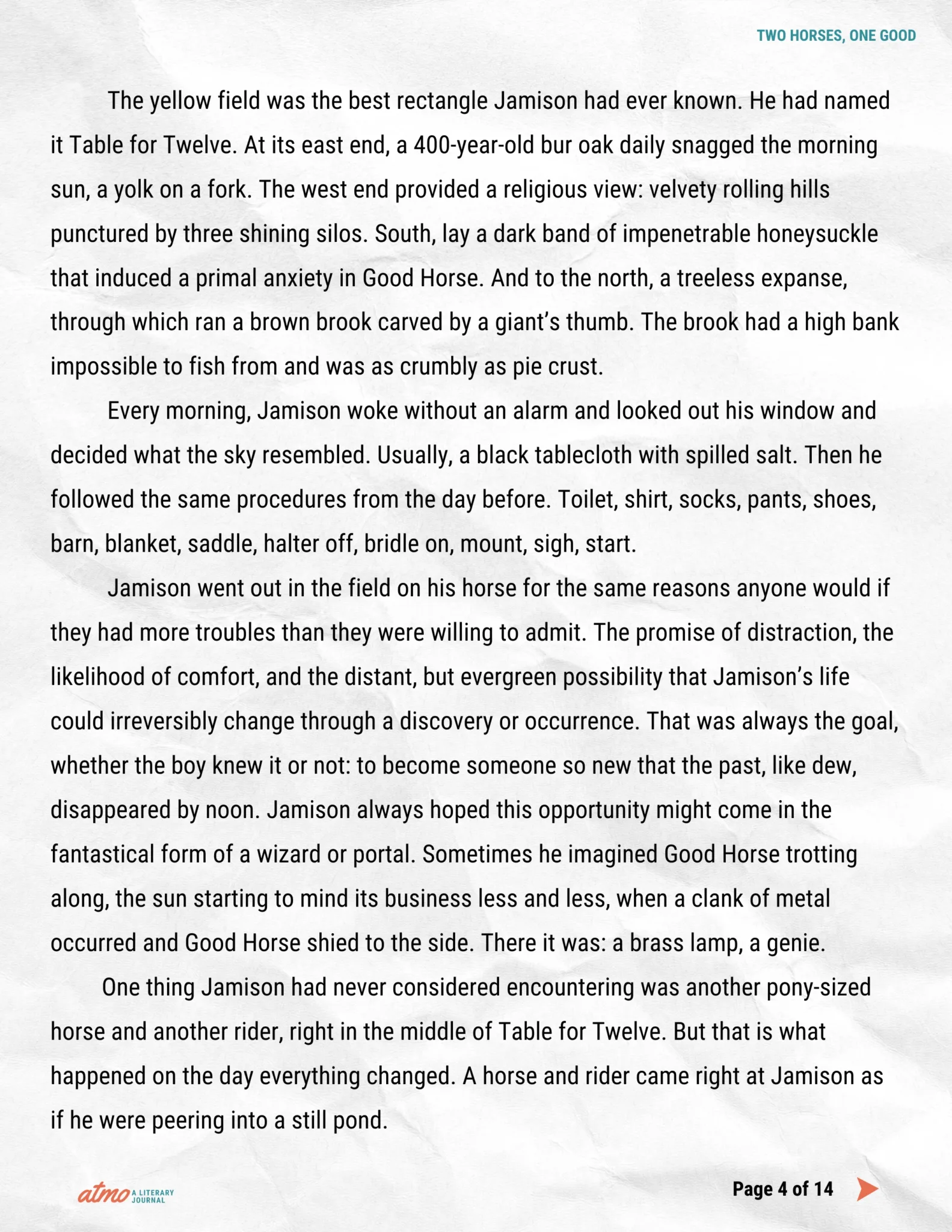 TWO HORSES, ONE GOOD story by Whitney Collins