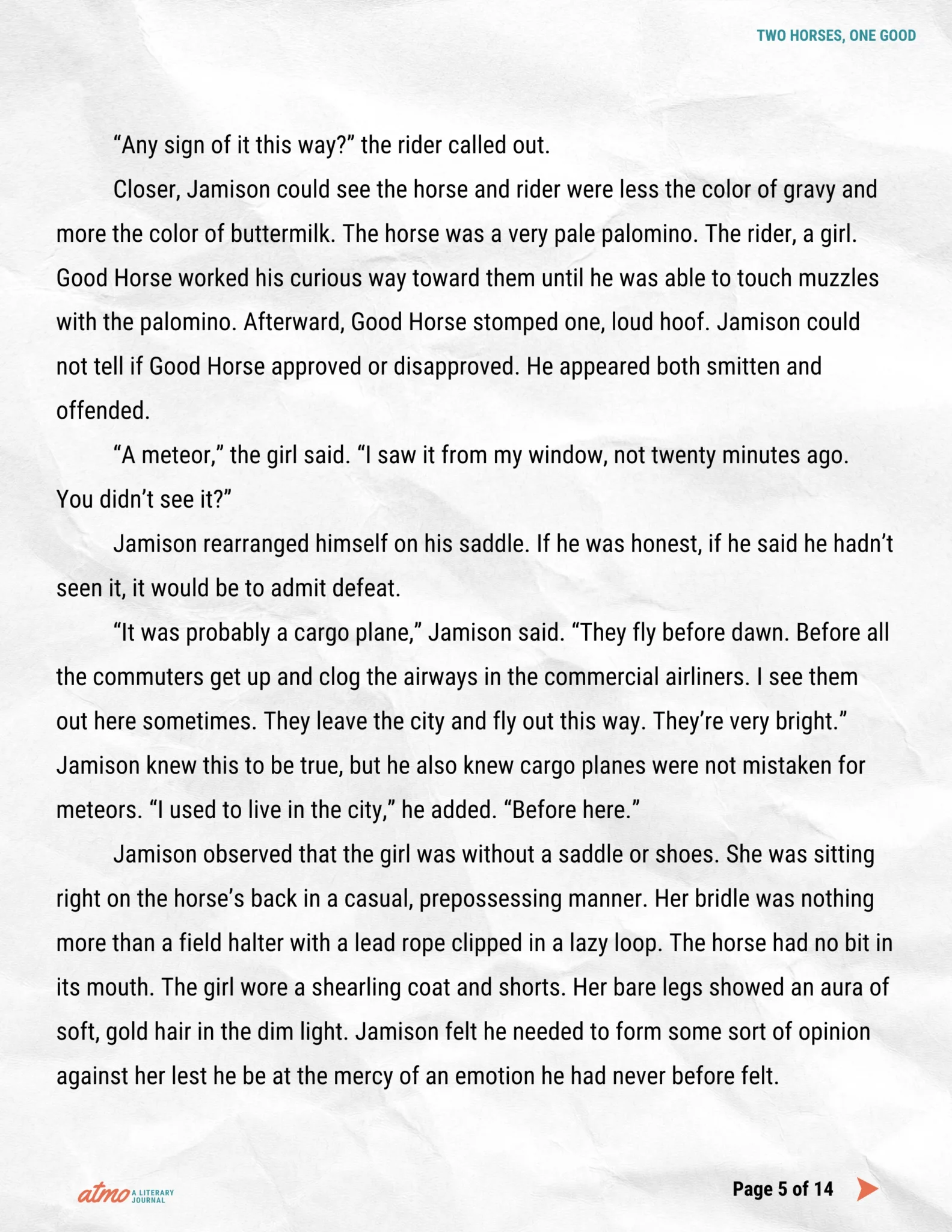 TWO HORSES, ONE GOOD story by Whitney Collins