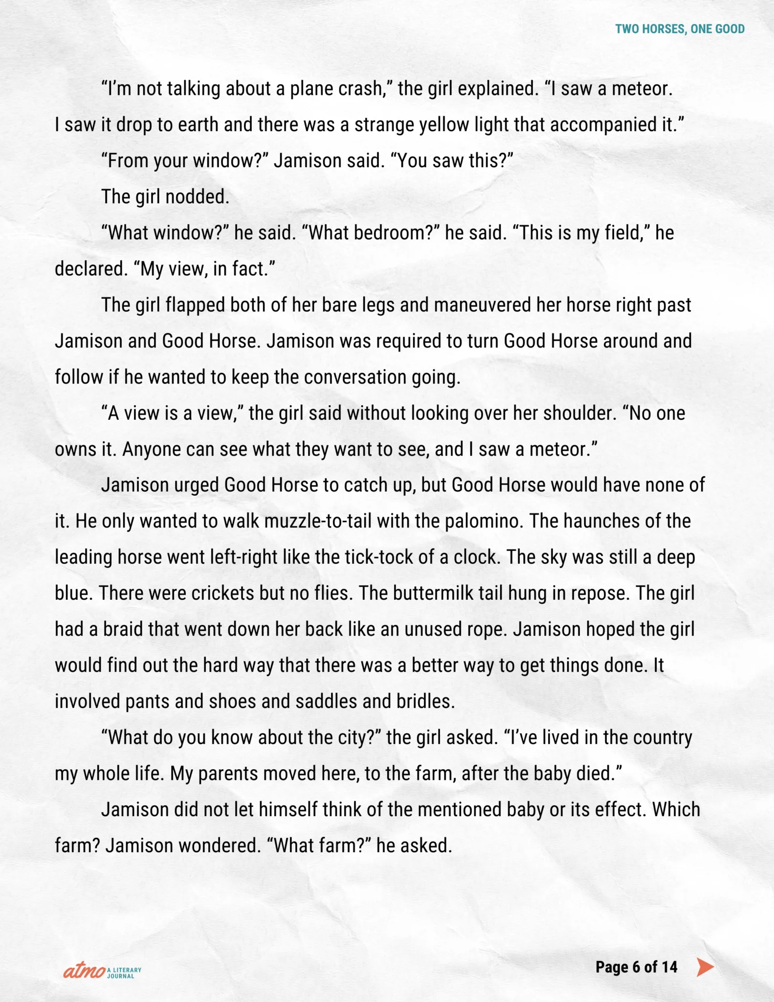 TWO HORSES, ONE GOOD story by Whitney Collins