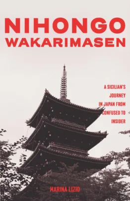 Lizio Cover Project front jpg